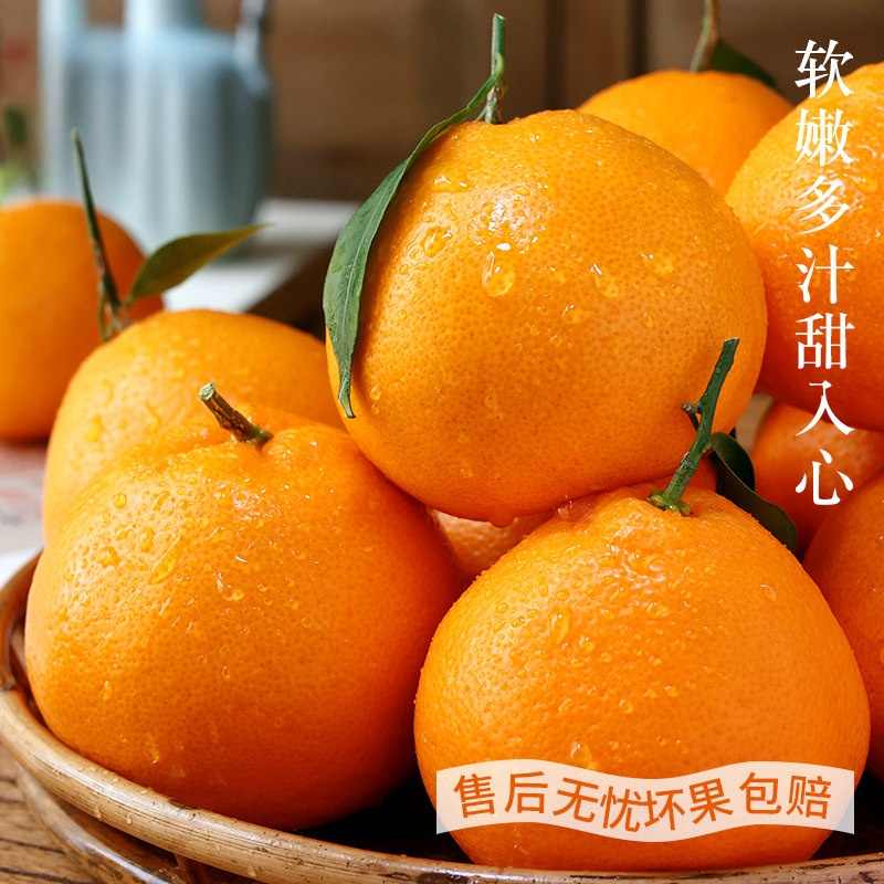 【柚子专属】四川春见耙耙柑橘子邮新鲜现摘整箱包邮