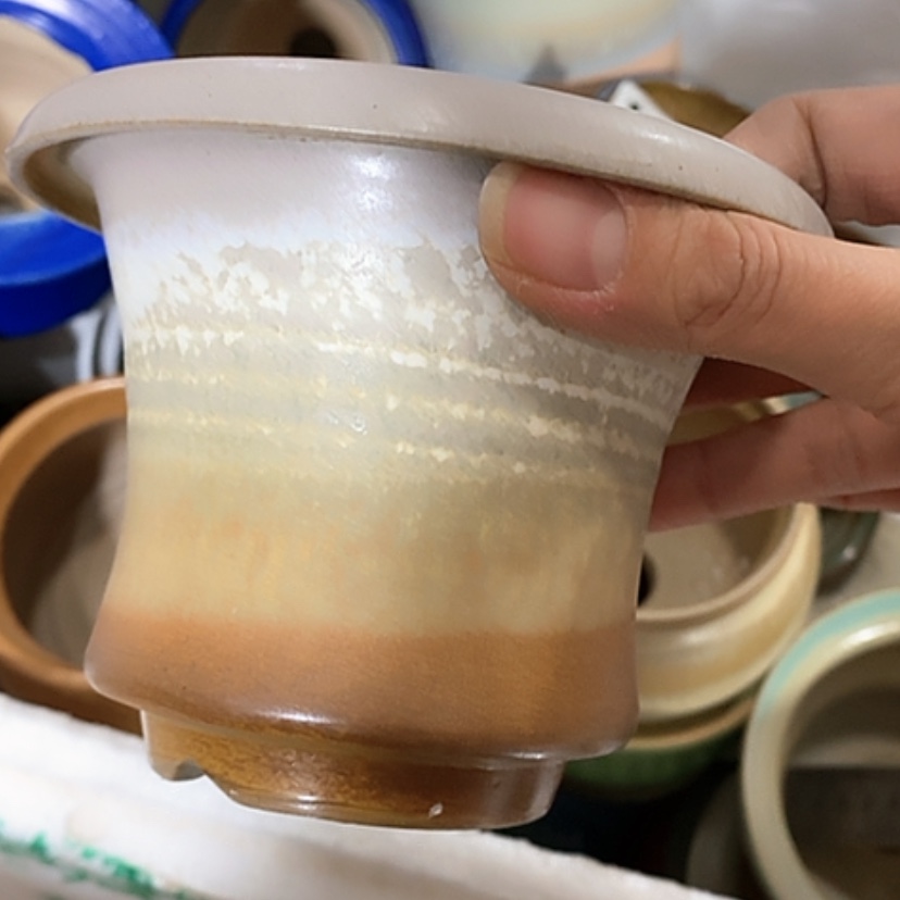 【闪购商品】红陶口10