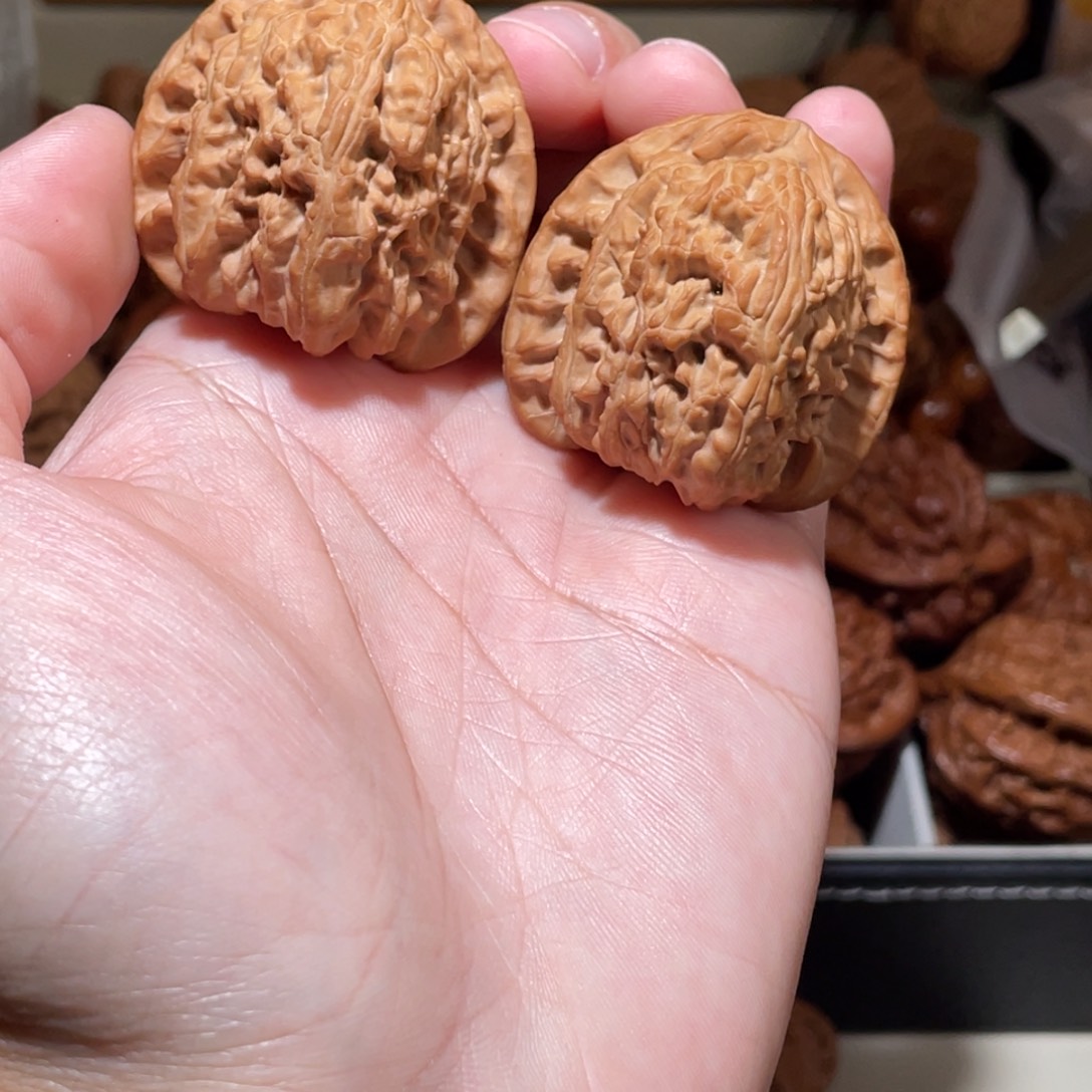 40尺寸老白狮子狮子头