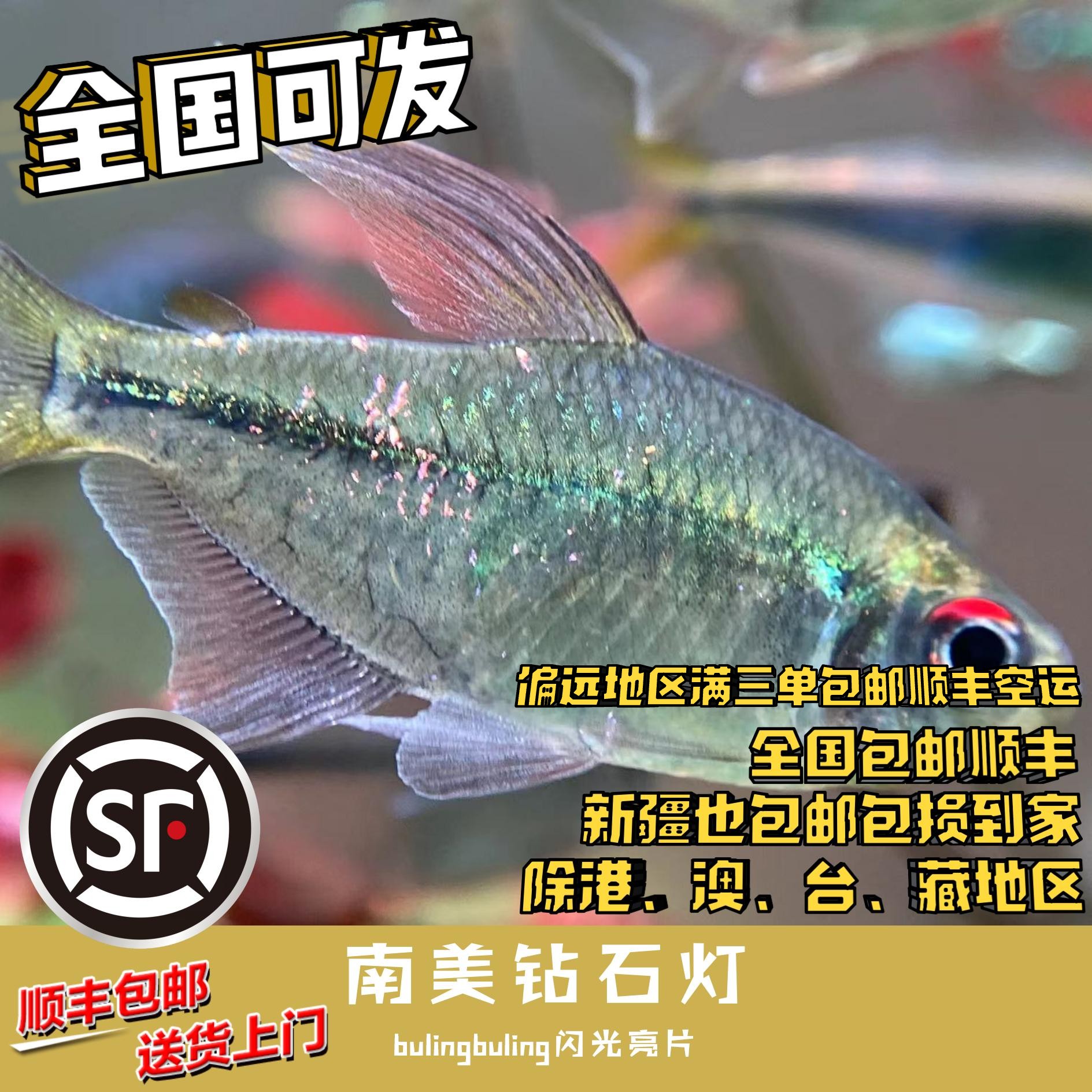 Boo小鱼 南美钻石 偏远地区任意三单包顺丰空运