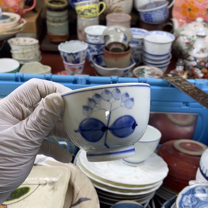 碟开播了开播了开播了