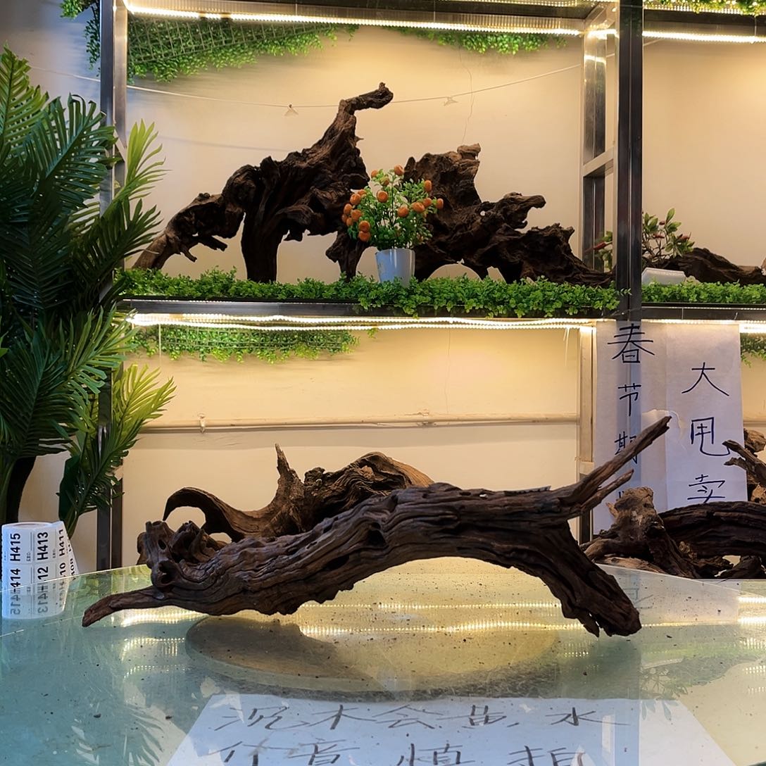 柚木刘***.沉木鱼缸造景