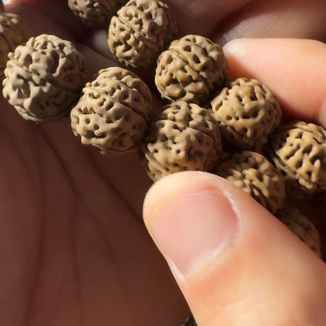 金刚菩提吊坠老树王
