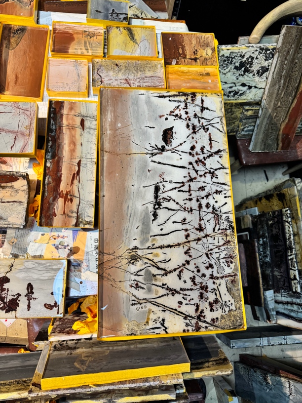 客厅家居办公室观赏