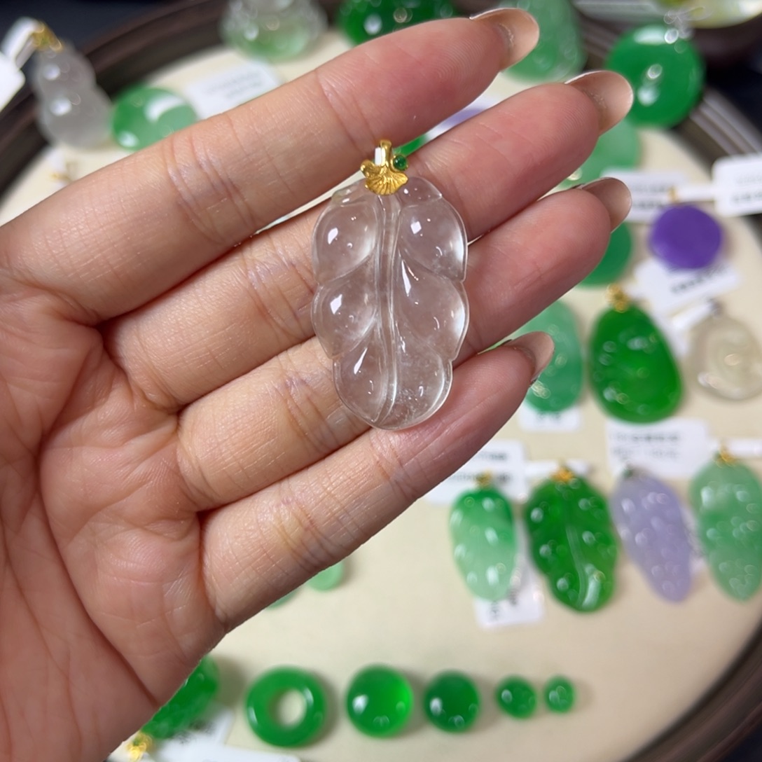 林****直播编号树叶x0167
