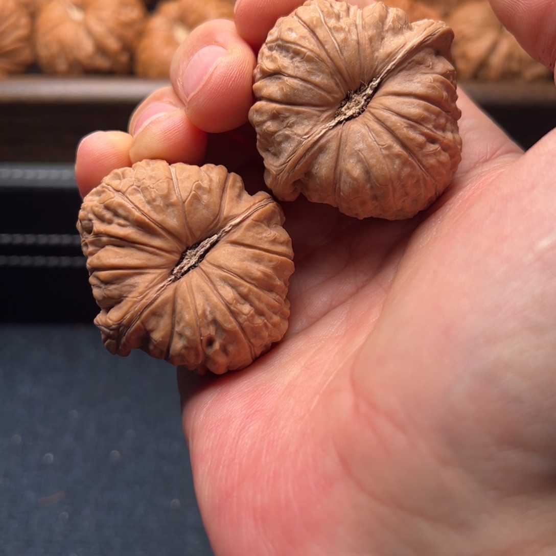 文玩核桃把件438南瓜墩