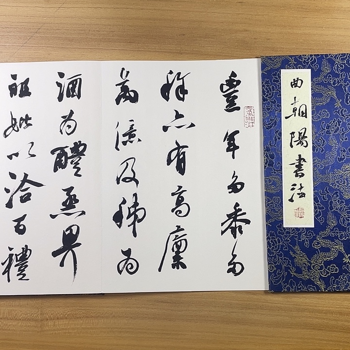 T***）书法中书协老师作品