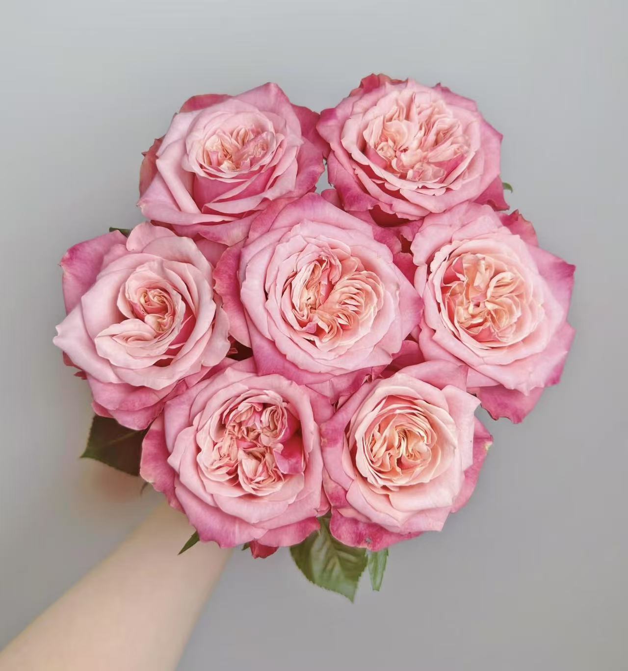 【闺蜜玫瑰10枝】2单升级顺丰冷链/德邦空运