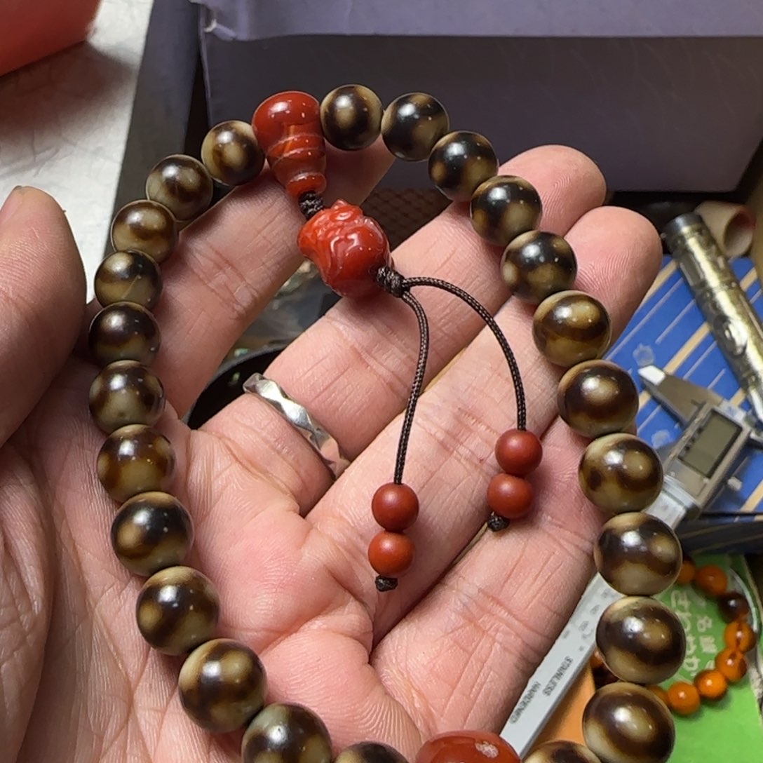 南**猫如图所示所拍即所得