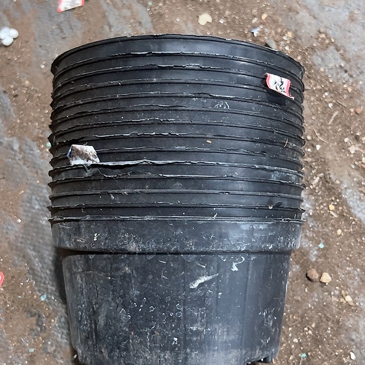 塑料口径17高度9黑矮胖 一组30个