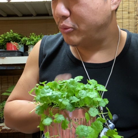 红陶敏****?一物一拍所见即所得64