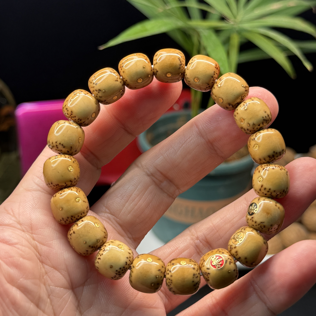 原生态星月菩提单圈12/11通体留白一物一图高端星月手串