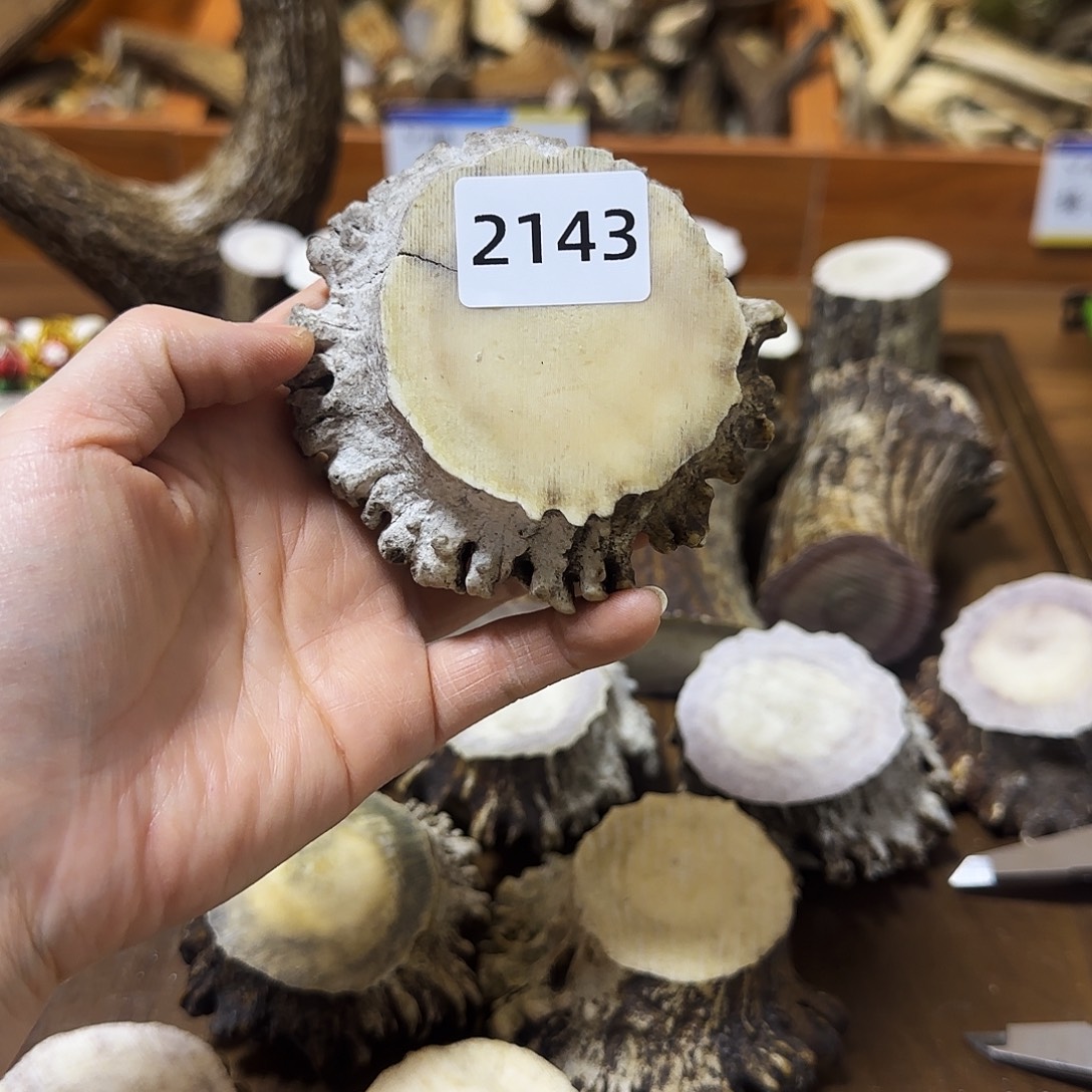 手串/手链鹿骨2143角帽