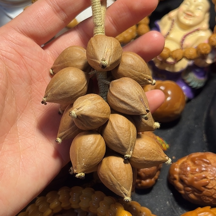 手串/手链橄榄核葡萄素串