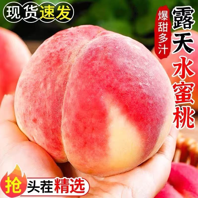 【送礼福利款】4只装正宗肥城水蜜桃新鲜应季水果现摘现发脆甜多汁