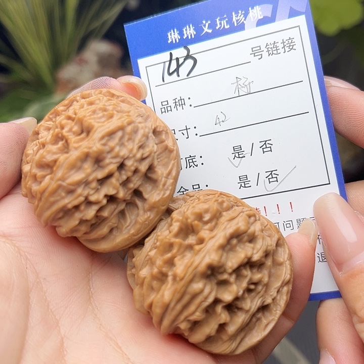 文玩核桃吊坠核桃树143