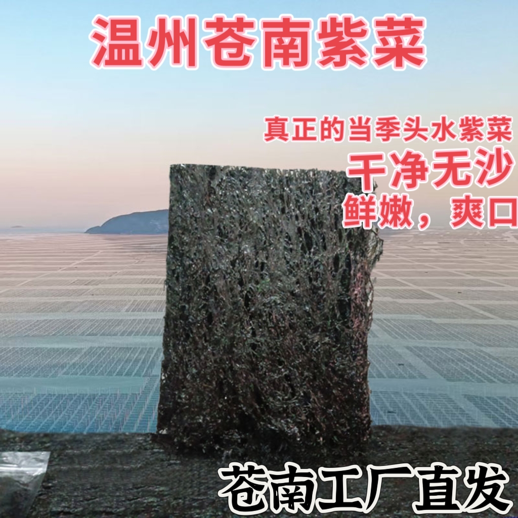 温州特产【正宗头水紫菜】优质头水紫菜源头厂家手工日晒免洗家用
