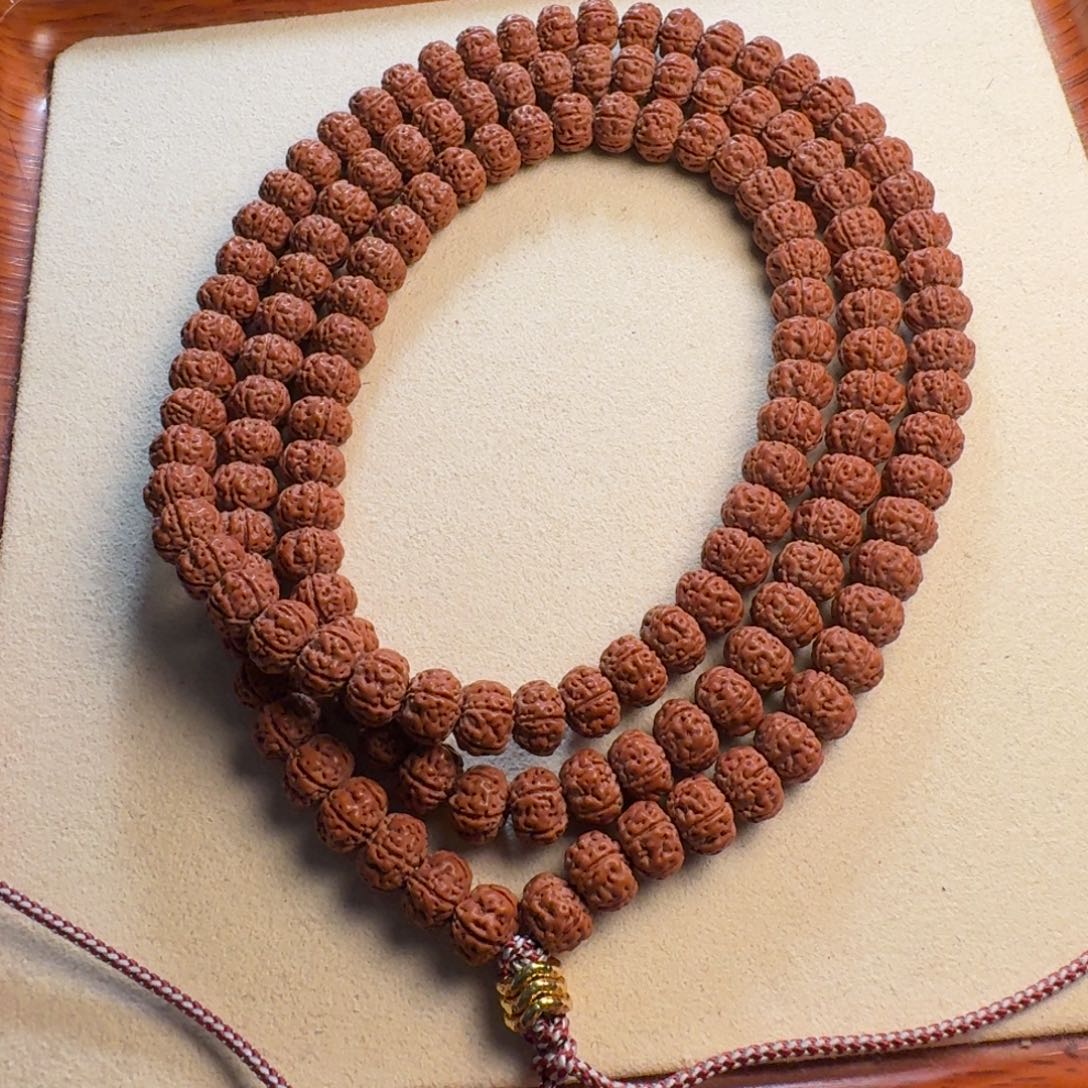 金刚菩提吊坠老树王十挑一8+