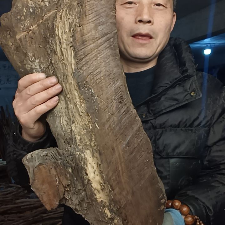 稳定木风*贵州檬子木   铁马鞭   根艺  半成品