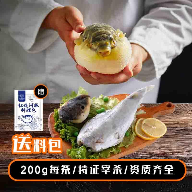 冰鲜河豚鱼（非冷冻）当日活鱼处理冰鲜发货每条约200g（±30）2条/4条