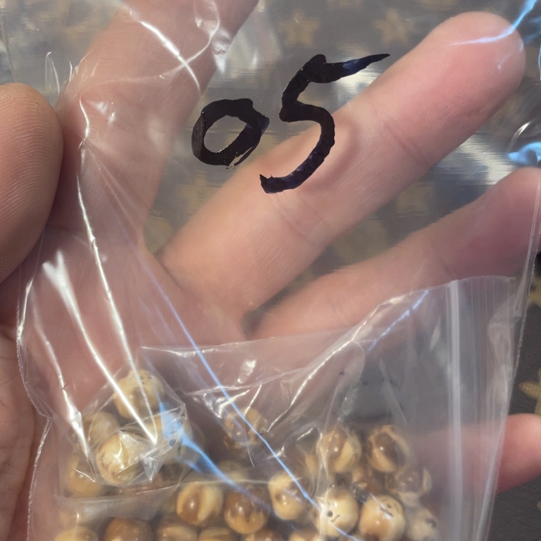 紫金鼠手串实心散珠05