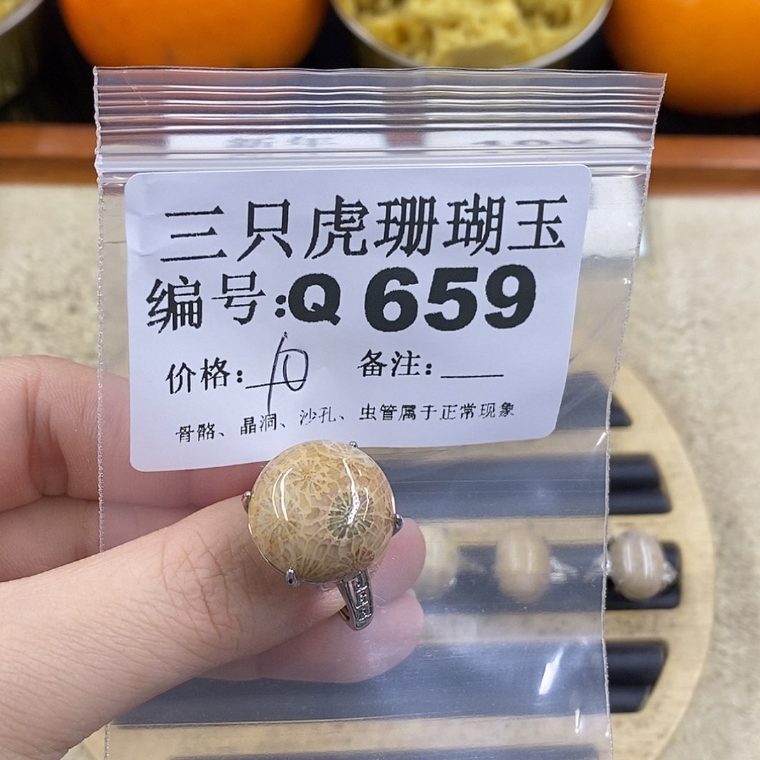 硅化珊瑚（珊瑚玉）1未镶嵌慧****1