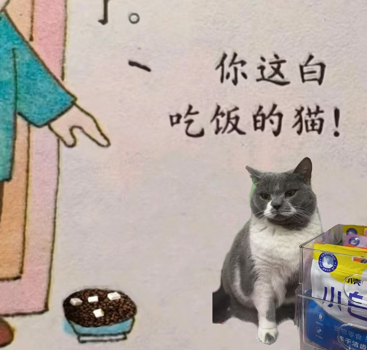 喵喵汪汪自选宠物主食零食组