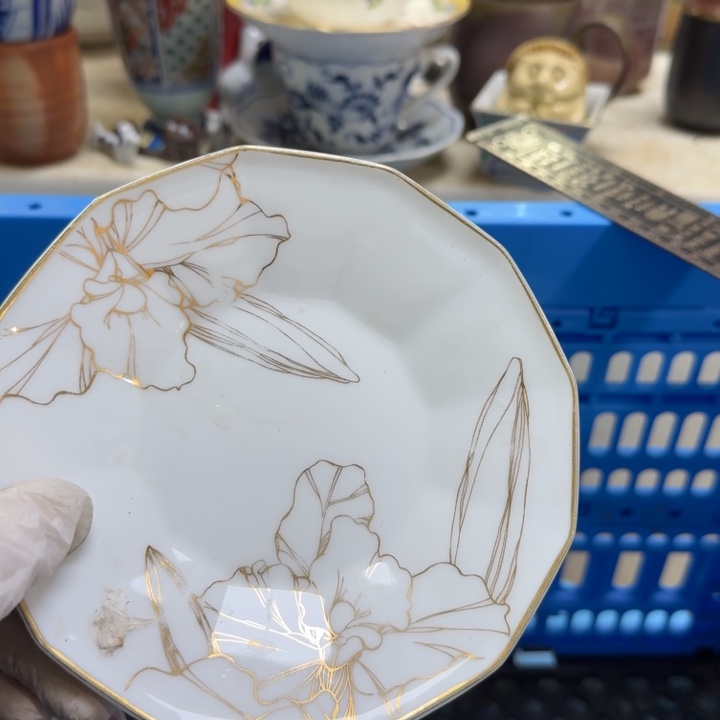 瓷片在****鱼开播啦….开播啦！