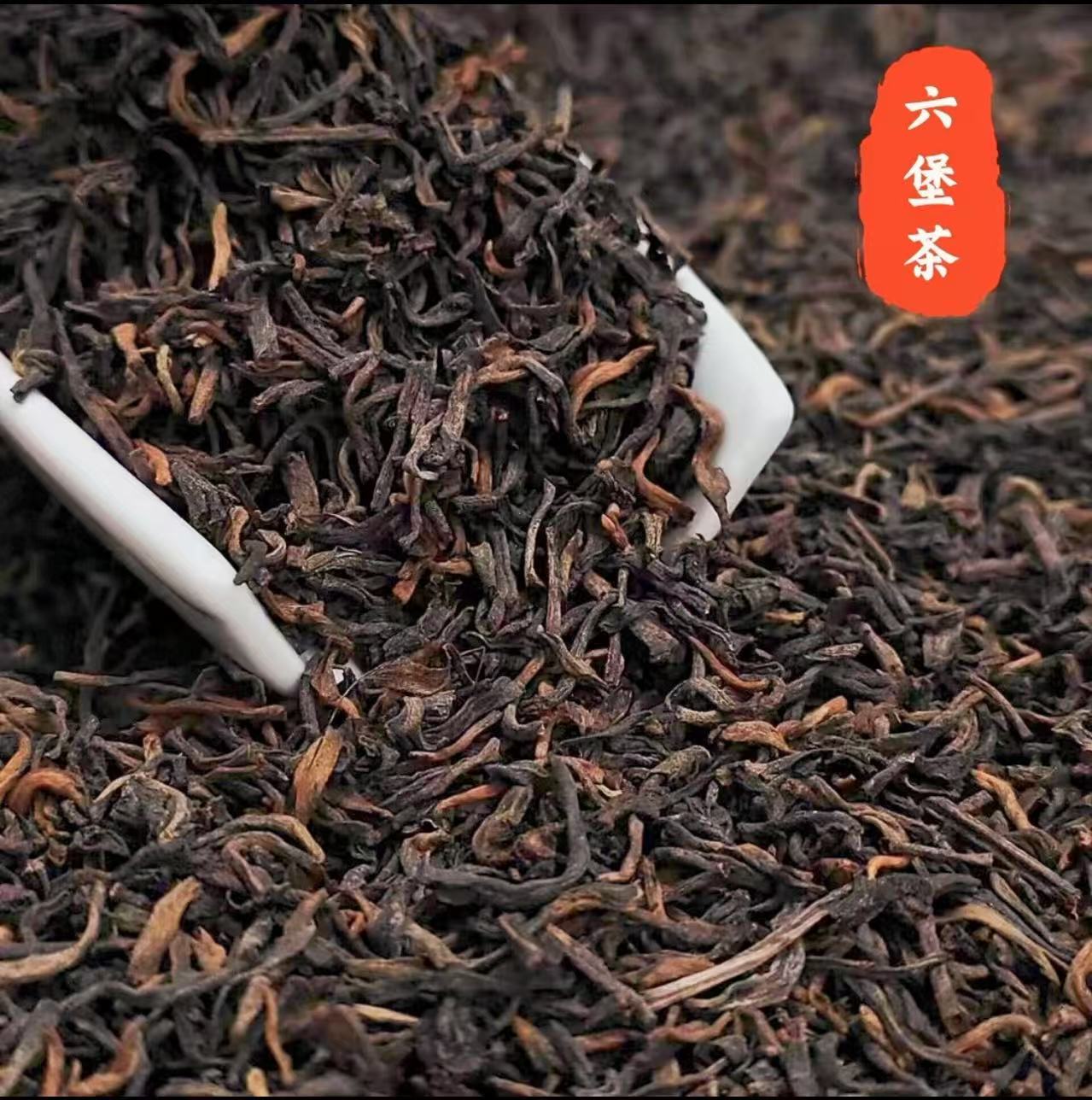 高总收好茶-黄金六堡茶