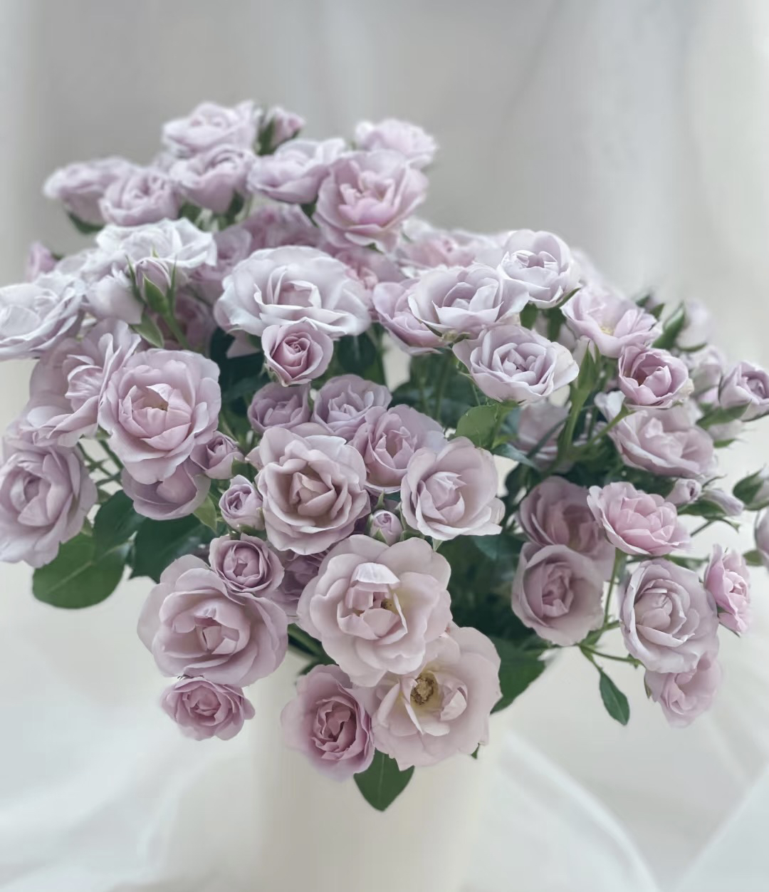 【10枝焦糖纯真】全场任意两单顺丰冷链包邮，0度以下必拍保温棉！