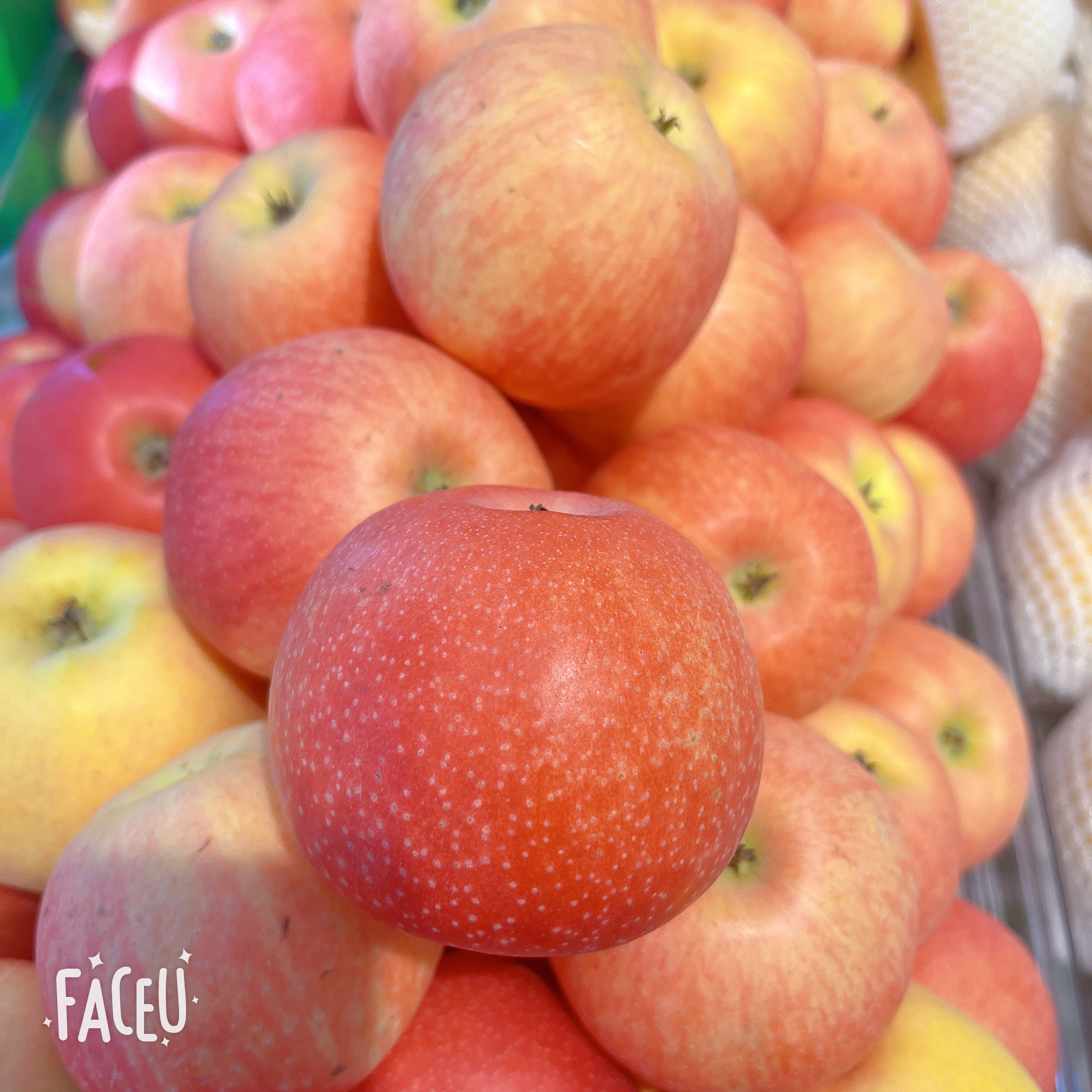 嘎拉果8.8/斤¥当季最新苹果山东省