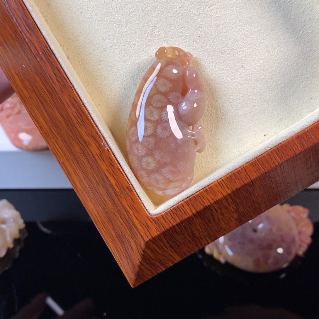 硅化珊瑚（珊瑚玉）未镶嵌颈饰99