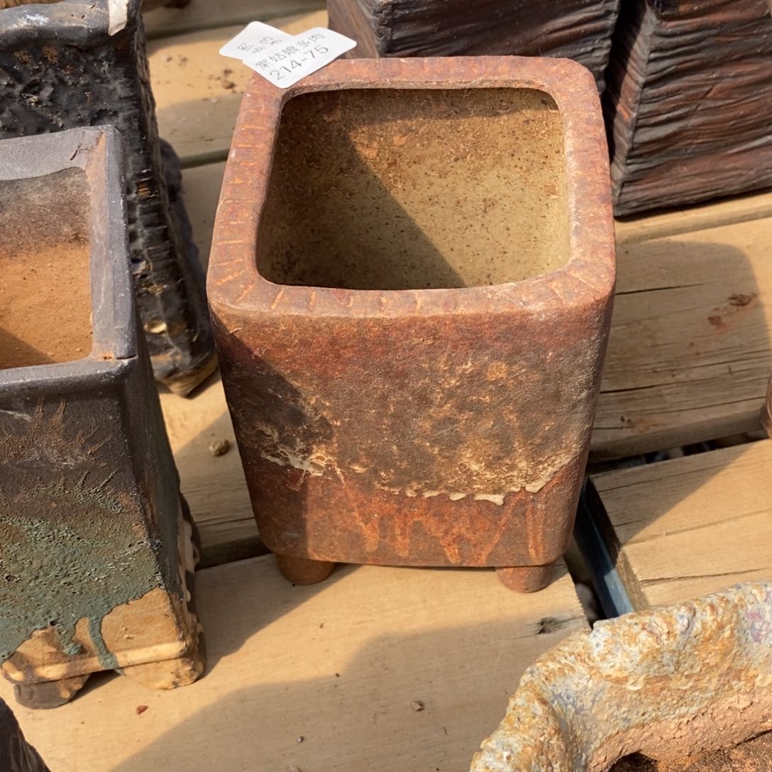 红陶75个多肉盆一个呀