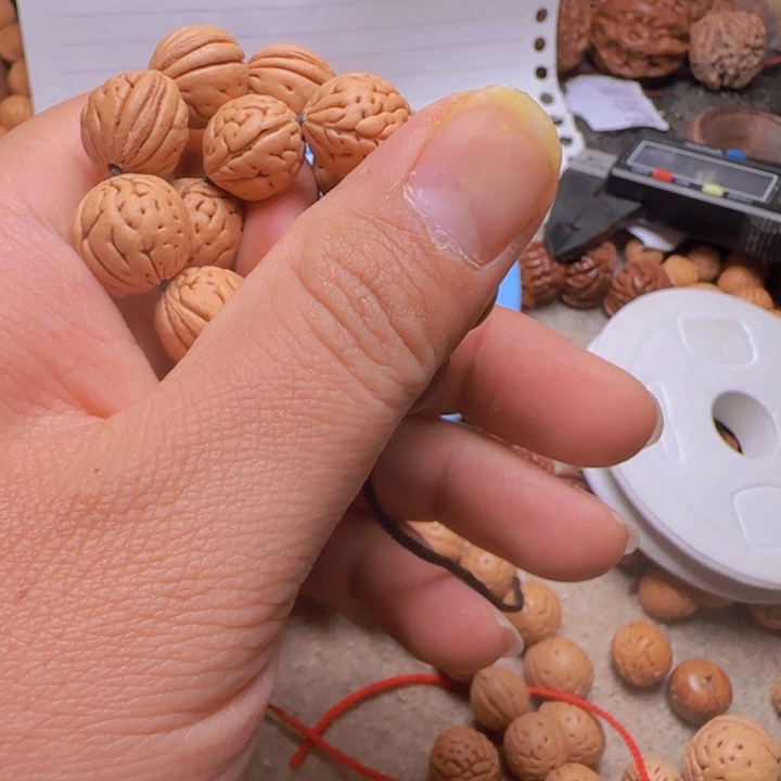 晨*?野生桃核大肠纹手持一条