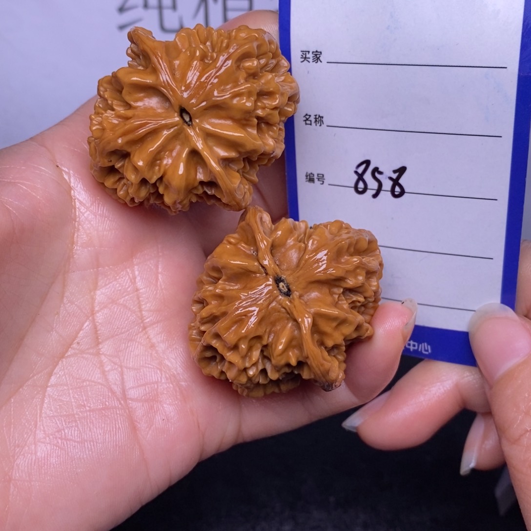 文玩核桃把件858/39.5帝王