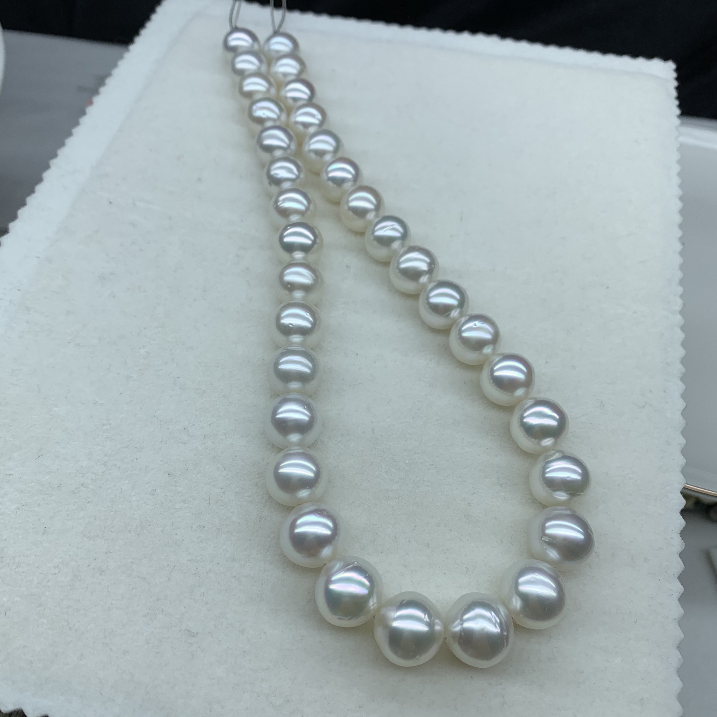 海水冷光澳白项链12-14mm 光感清晰透影 性价比超高 佩戴大气优雅