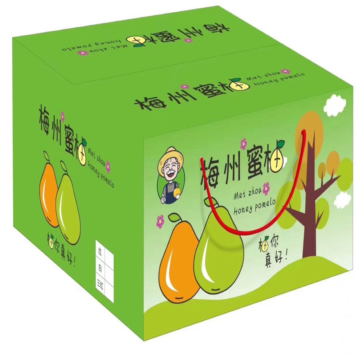 【广东省外专拍*二玲】梅州红心蜜柚顺丰包邮当季新鲜水果中秋国庆