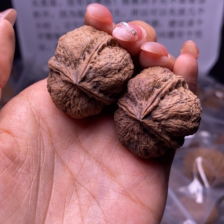 核桃云南野生铁核桃132号33