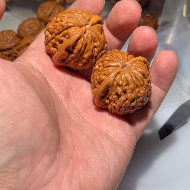 M***_把件桃核狮子头核桃