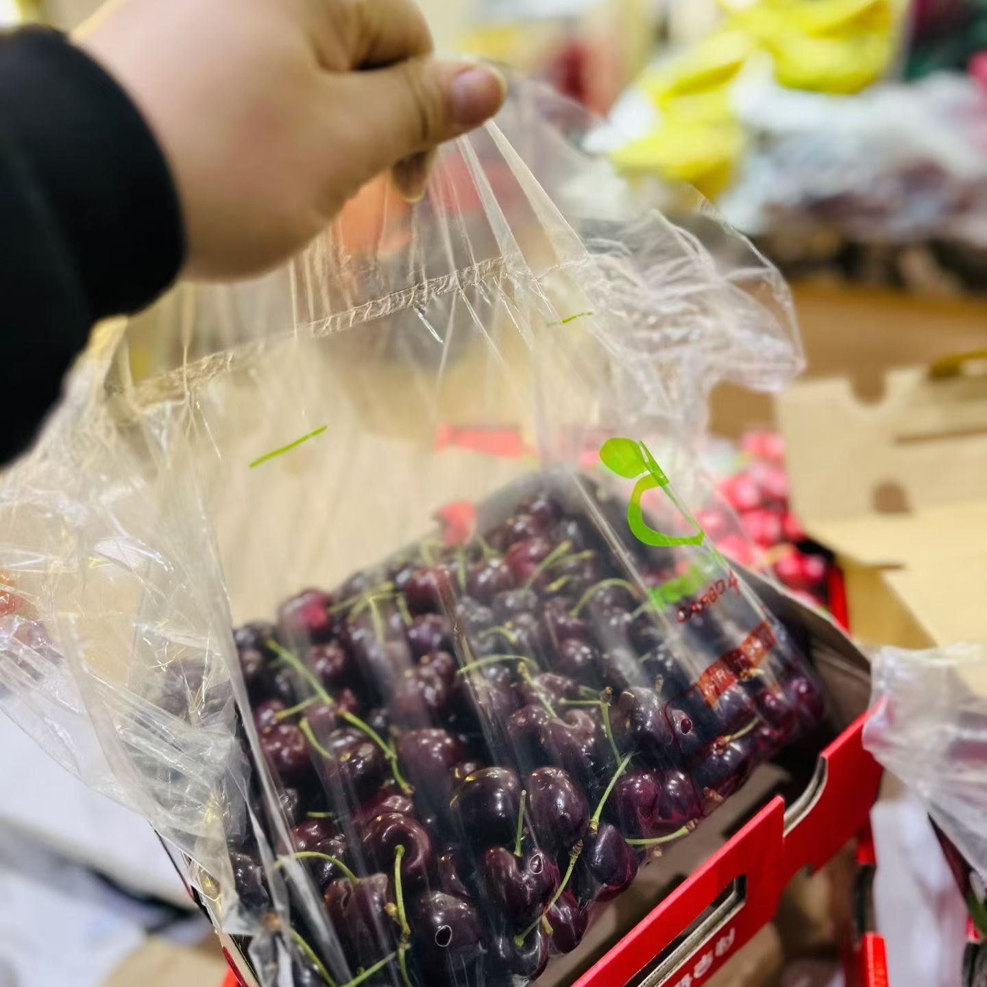 JDD智利桑缇娜车厘子2500克海运智利