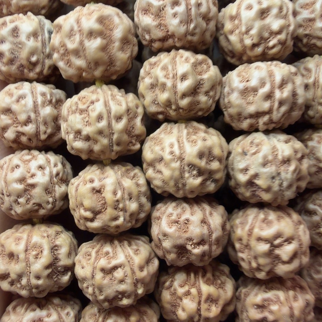 金刚菩提吊坠灵耀双龙108非全品