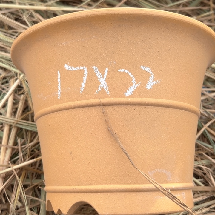 红陶紫砂碗盆口22