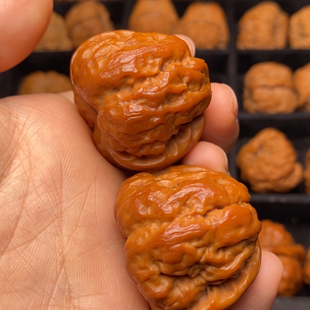 秦岭野生文玩核桃