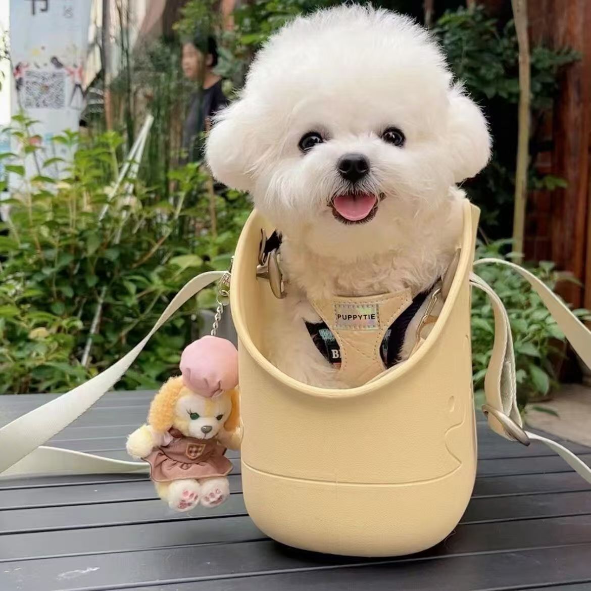 宠物相册大小尺寸