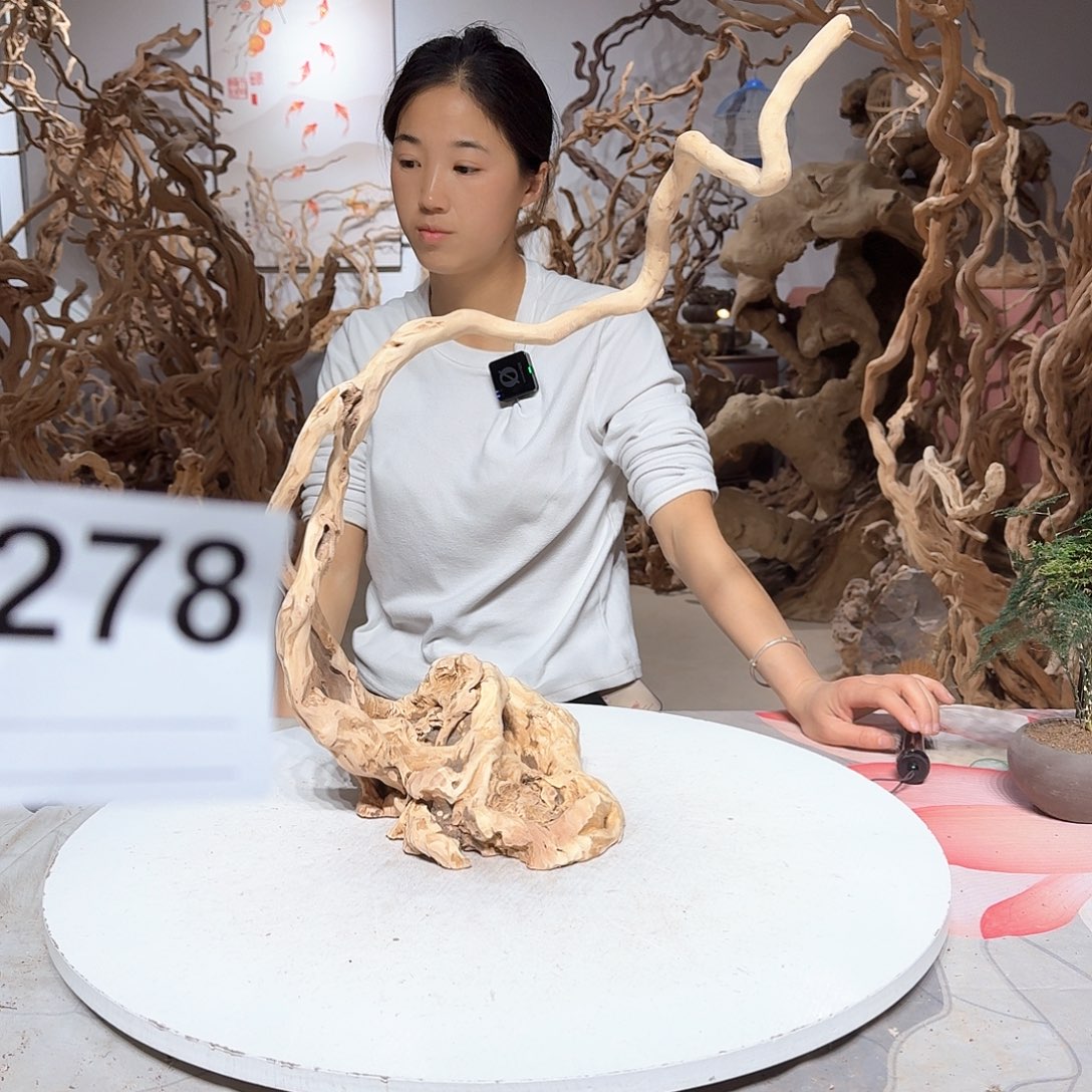 风车木（黑檀木）昇*