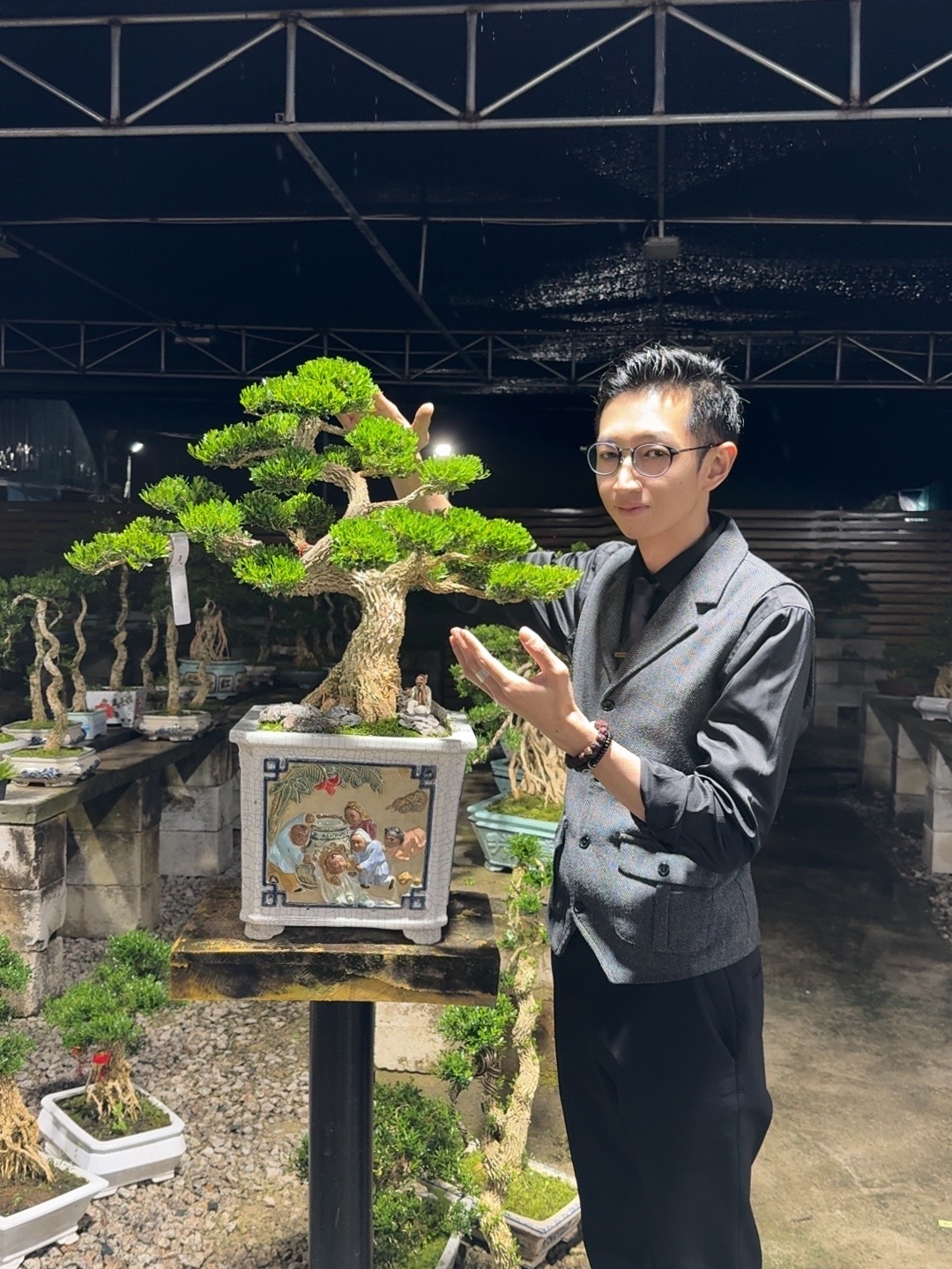 高端黄杨盆景好养易活盆栽植物广东皱皮雀舌叶片四季常青室内外