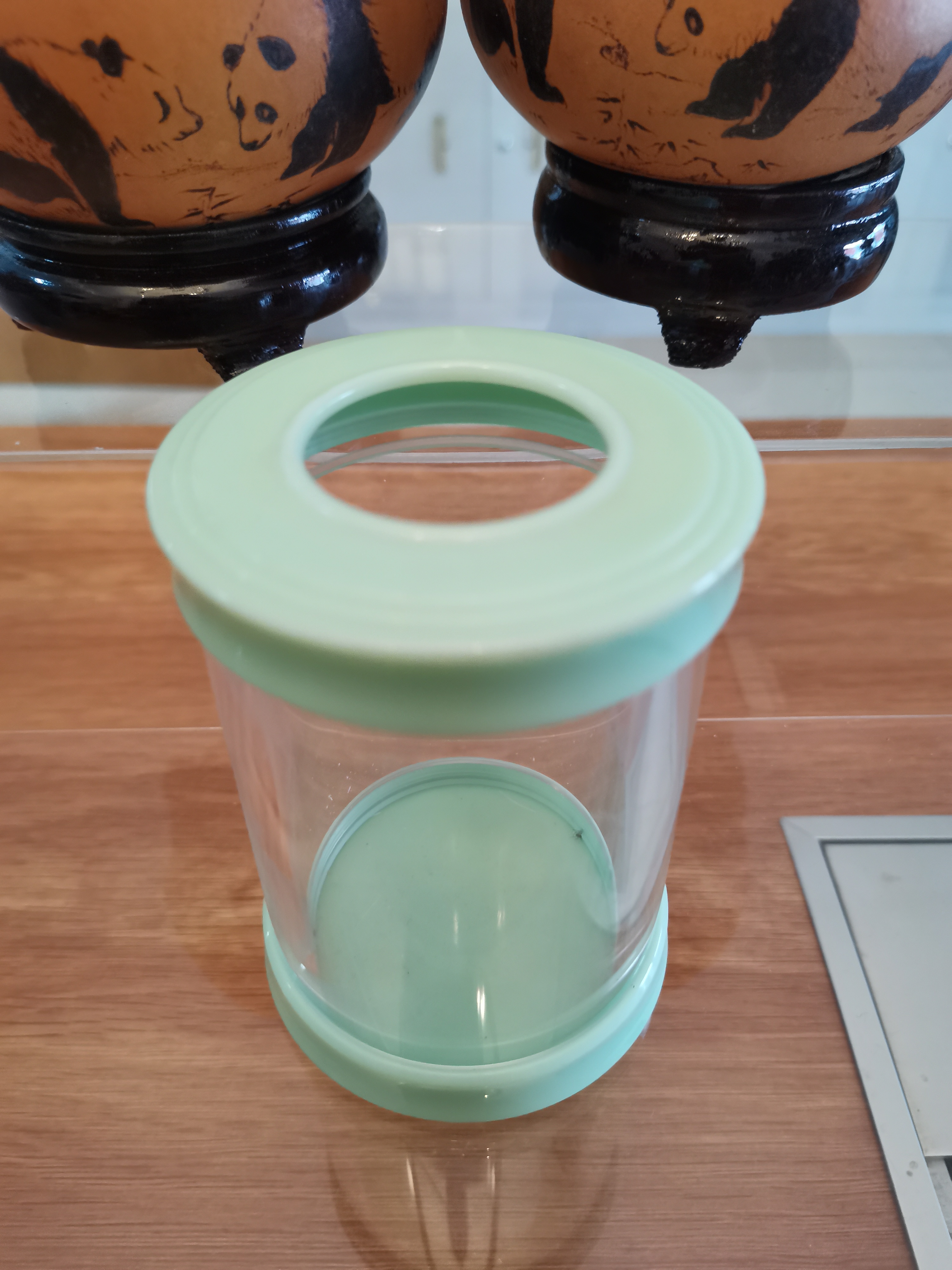 饲养蝈蝈的密胺叫罐（天青色），送蝈蝈一只