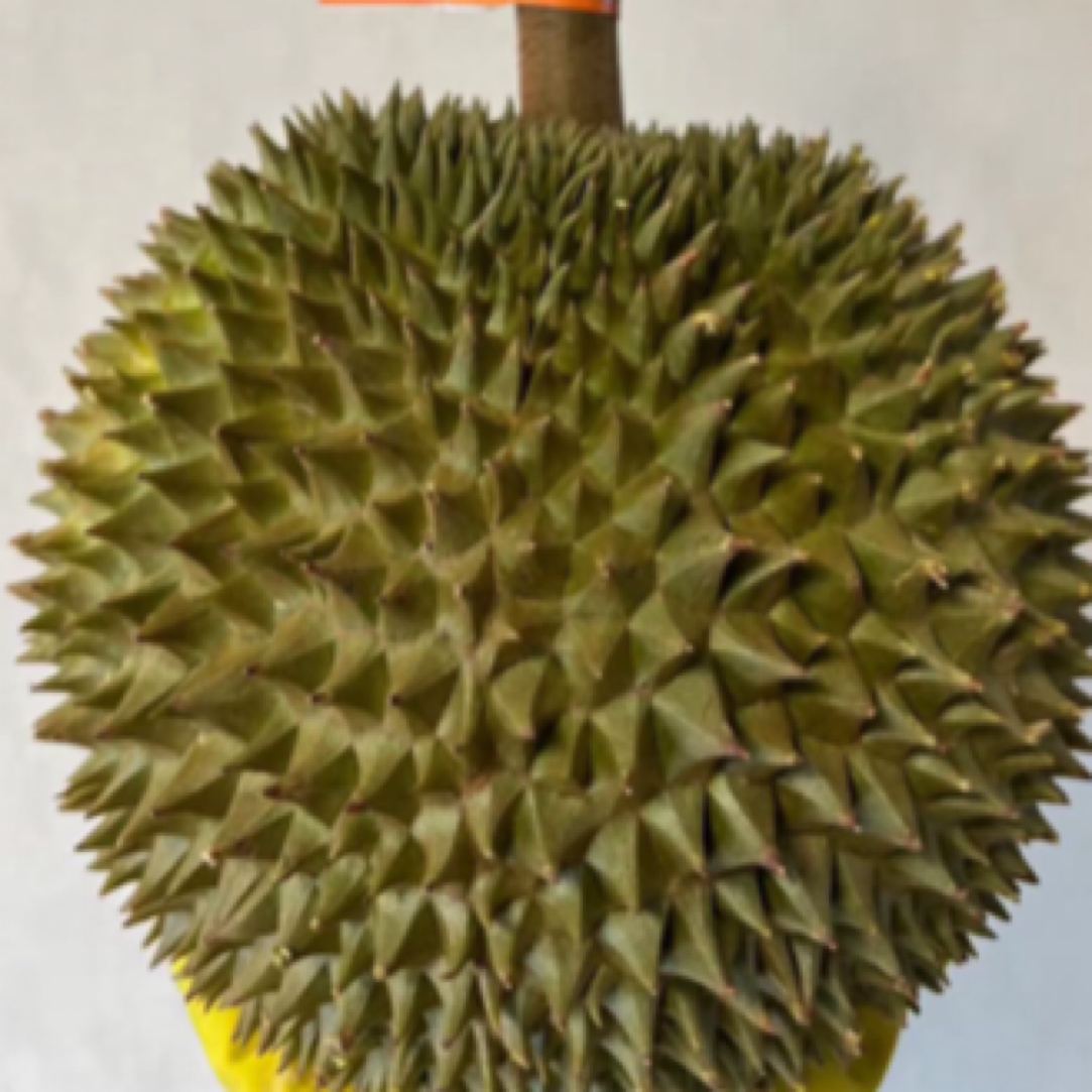 Z专属链接【一物一拍】泰国金长柄鲜榴莲3斤起运输10%干耗
