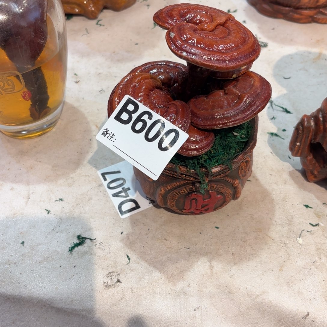 无花朵灵芝88888888888888888