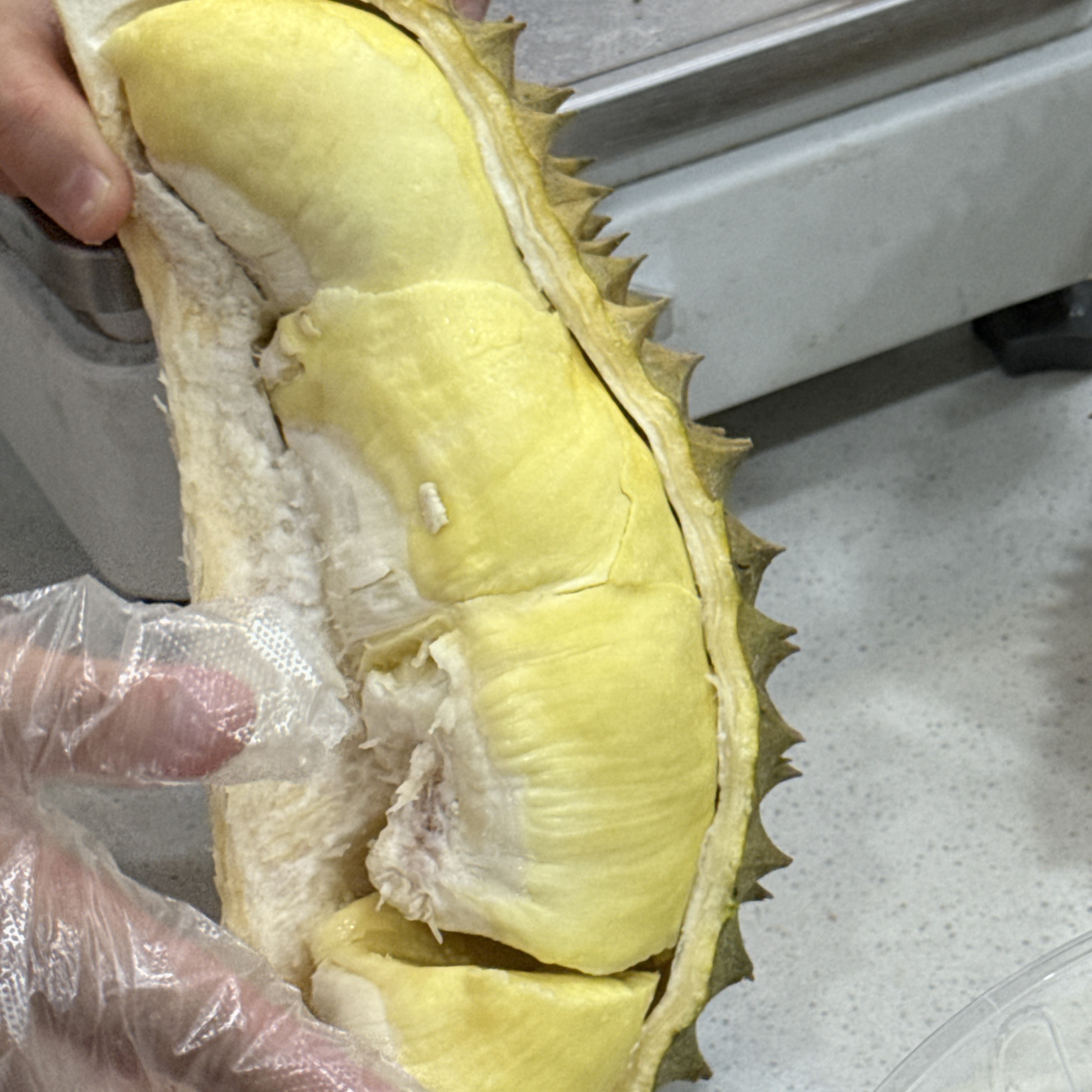 滨海同城泰国金枕树熟榴莲AA果新鲜榴莲5-6斤核小金枕泰国